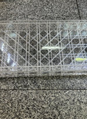 H1005